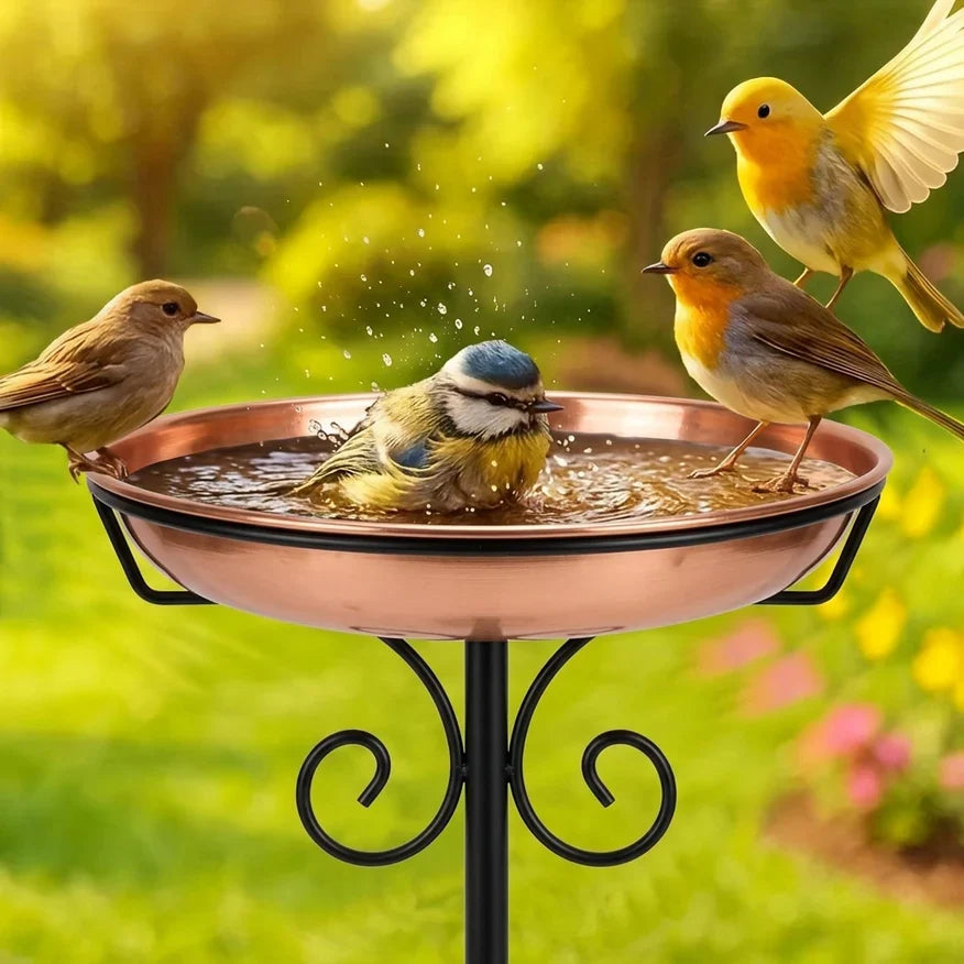 🐦Last Day 49% OFF -🎉Copper-Coated Bird Bath – Attract Birds & Beautify Your Garden