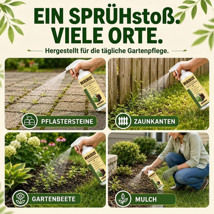 🏆 Neues Upgrade | HEALRIZE® Gebrauchsfertiger Unkraut und Grasvernichter