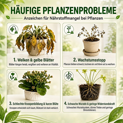 🔥 LETZTER TAG: 80 % RABATT –  Healrize® Pflanzen-Energieriegel